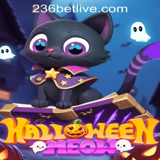 HalloweenMeow: Unravel a Spooky Adventure